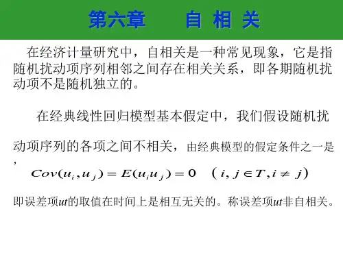 计量经济学第六章-自相关资料