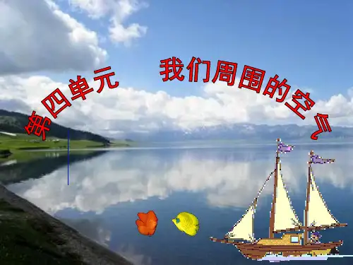 《空气的成分》PPT课件21