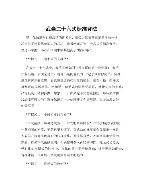 武当三十六式标准背法
