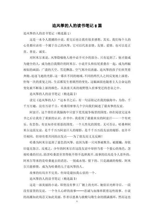 追风筝的人的读书笔记8篇