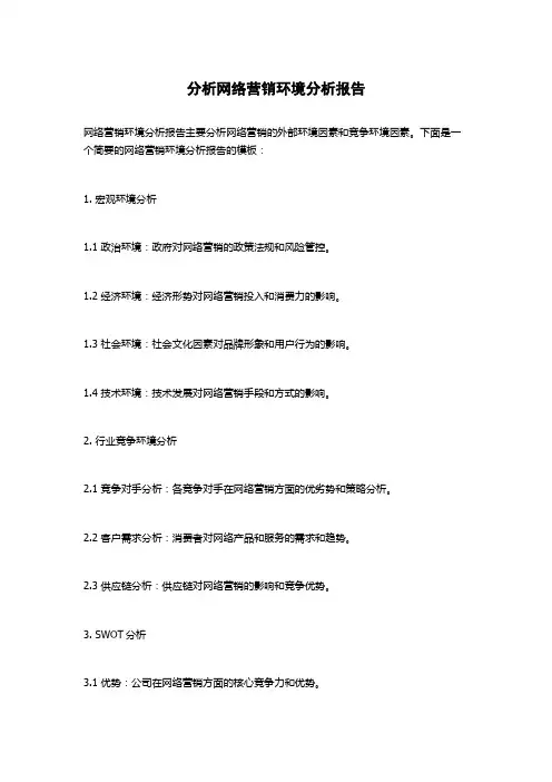 分析网络营销环境分析报告