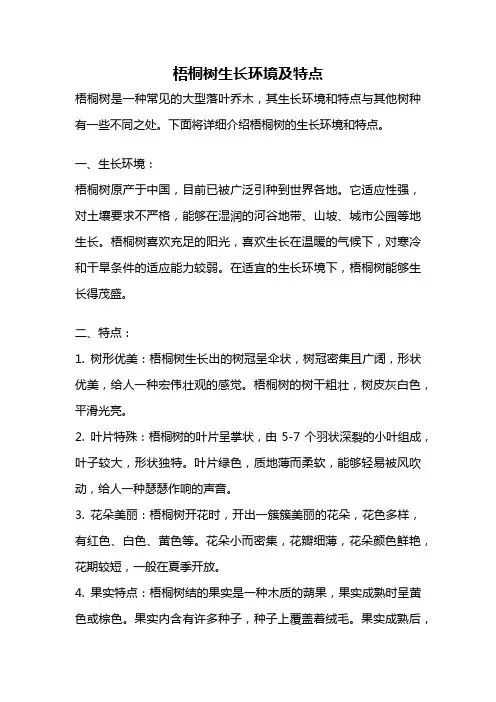 梧桐树生长环境及特点