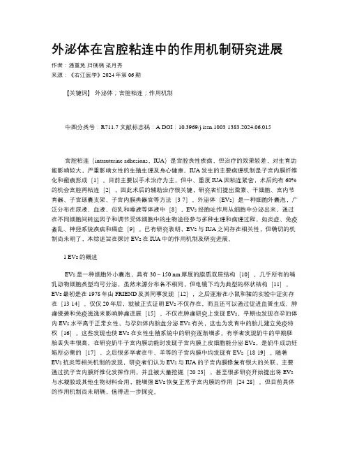 外泌体在宫腔粘连中的作用机制研究进展