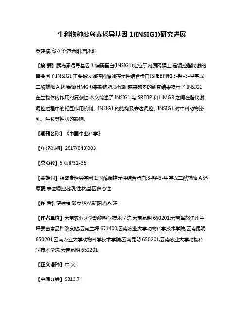 牛科物种胰岛素诱导基因1(INSIG1)研究进展