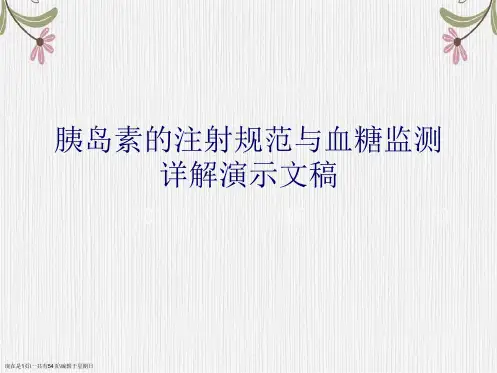 胰岛素的注射规范与血糖监测详解演示文稿