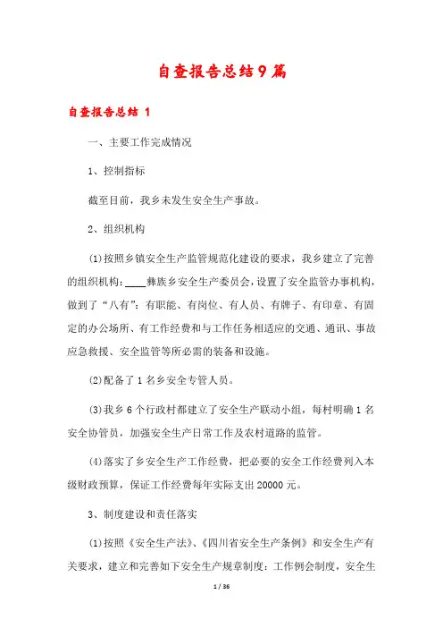 自查报告总结9篇