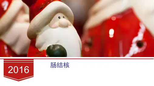肠道结核 ppt课件