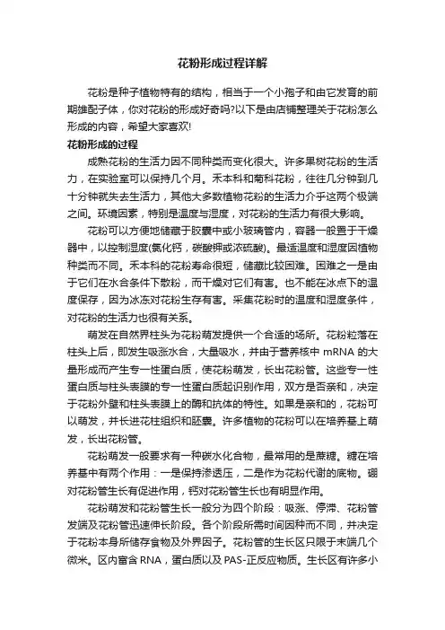 花粉形成过程详解