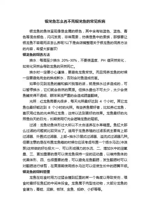 银龙鱼怎么养不死银龙鱼的常见疾病