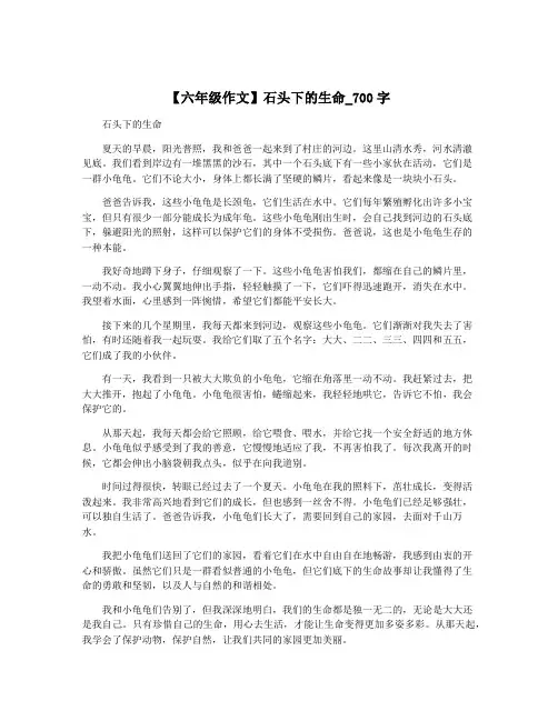 【六年级作文】石头下的生命_700字