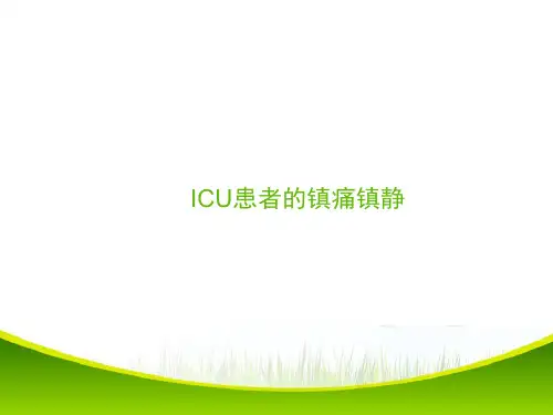 IPAD指南解读