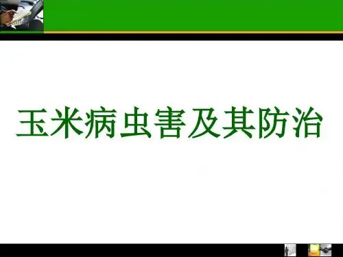 玉米常见病虫害及防治 33页PPT文档
