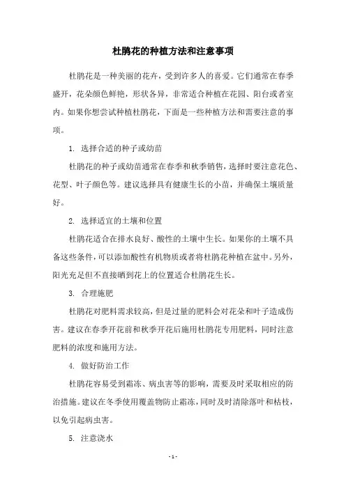杜鹃花的种植方法和注意事项
