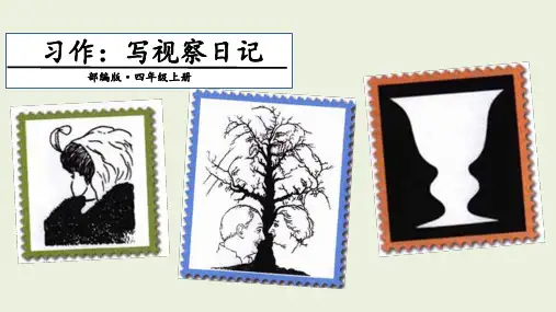 四年级上册(2019部编)第三单元习作：写观察日记课件(12张PPT)