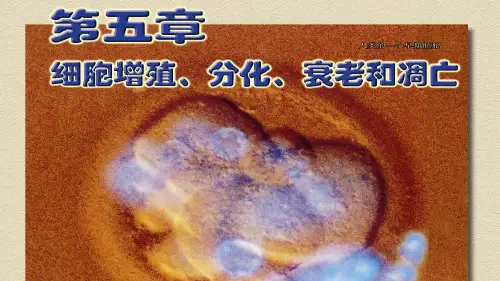高中生物必修一第五章细胞周期与有丝分裂 课件