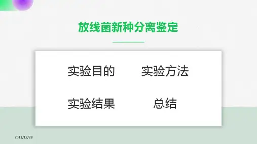 放线菌新种分类鉴定