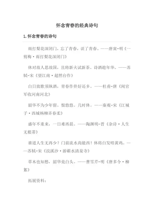 怀念青春的经典诗句
