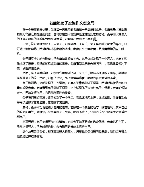 老鹰追兔子逃跑作文怎么写
