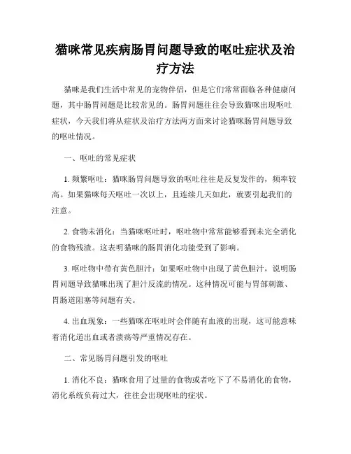猫咪常见疾病肠胃问题导致的呕吐症状及治疗方法