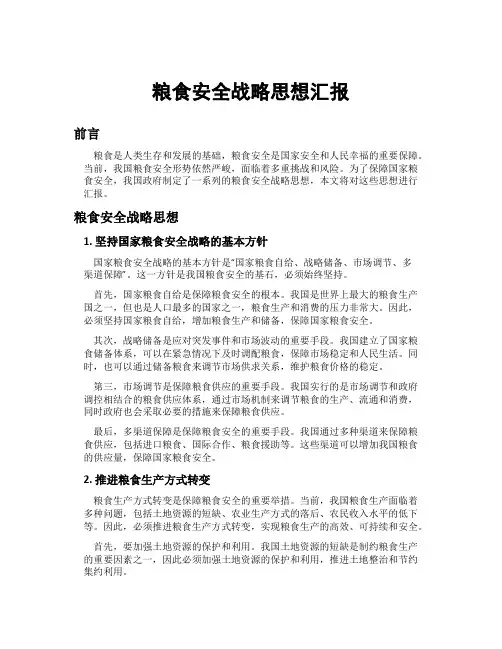 粮食安全战略思想汇报