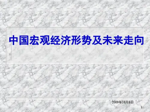 中国宏观经济形势及未来走向PPT课件