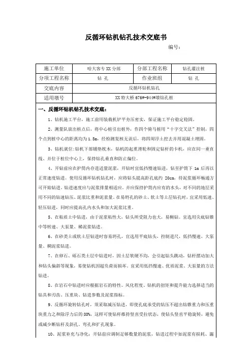 01-反循环钻机钻孔