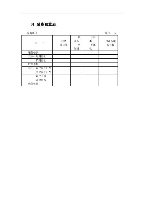 中小企业融资管理表格