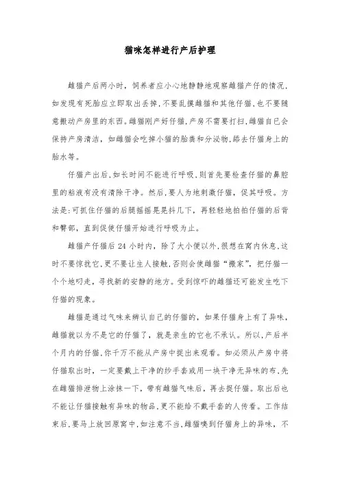 猫咪怎样进行产后护理