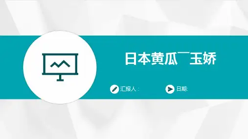 日本黄瓜――玉娇