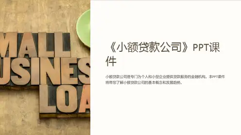 《小额贷款公司》课件