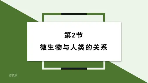 2.5.2  微生物和人类的关系(27张PPT)  课件 2024-2025学年生物苏教版七年级上册