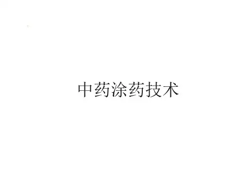 中药涂擦-ppt课件