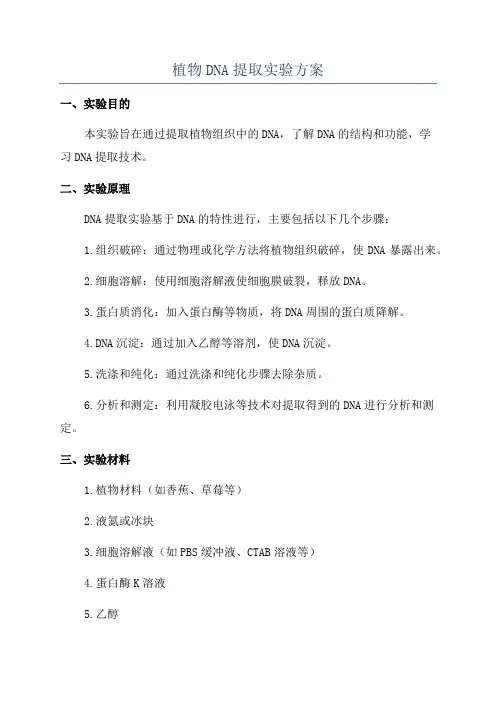 植物DNA提取实验方案