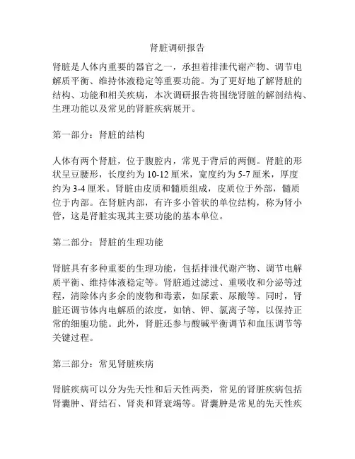 肾脏调研报告