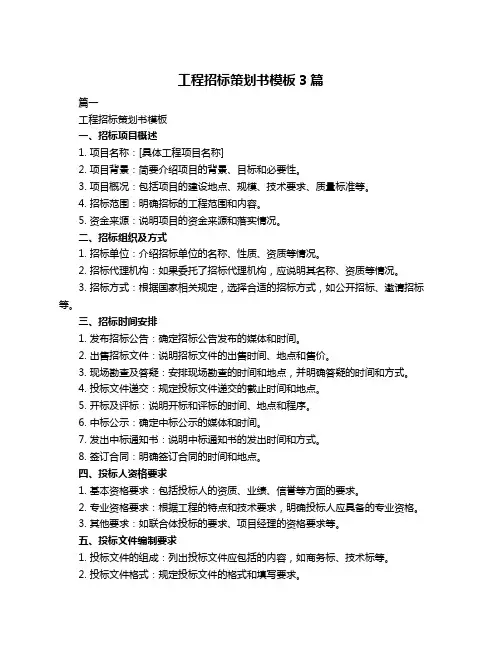 工程招标策划书模板3篇