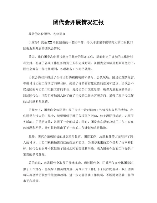 团代会开展情况汇报