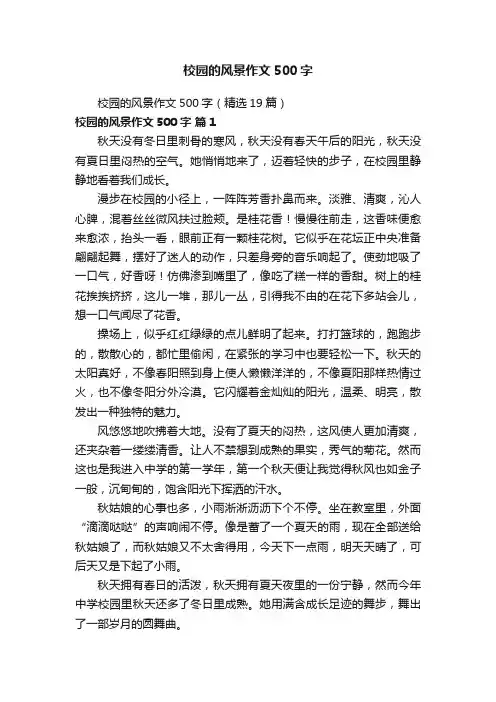 校园的风景作文500字