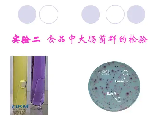 实验二 食品中大肠菌群的检验