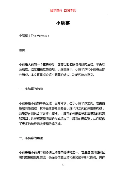 小脑幕_精品文档
