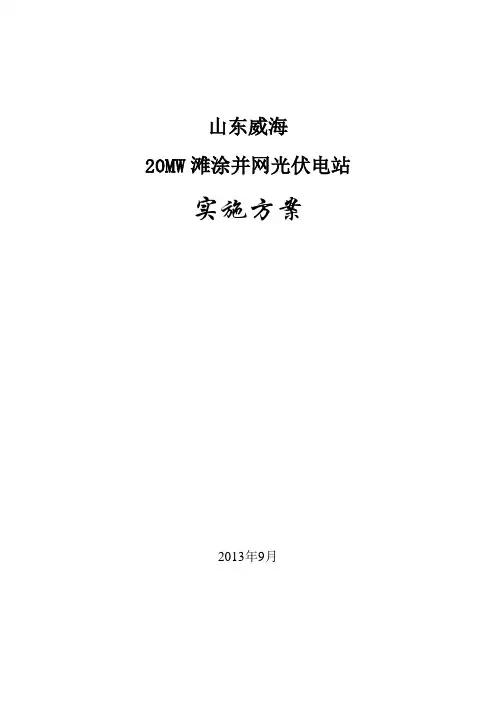 20MW滩涂光伏电站设计施工方案
