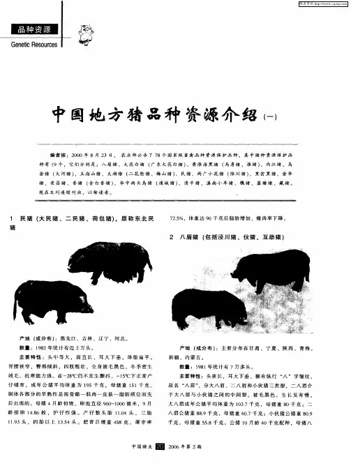 中国地方猪品种资源介绍(一)