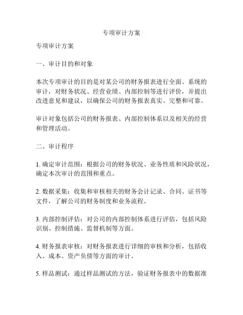 专项审计方案