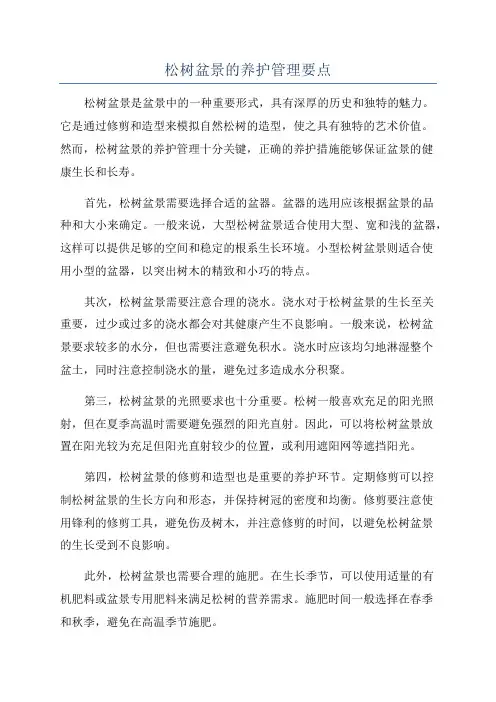 松树盆景的养护管理要点