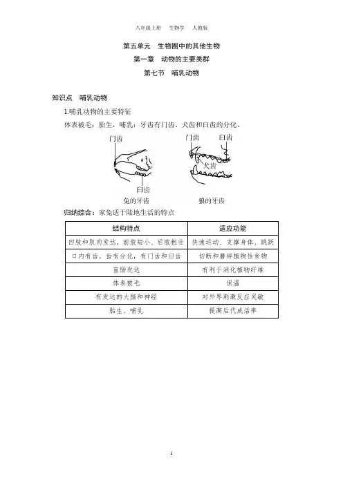 5.1.7 哺乳动物(八上生物人教)