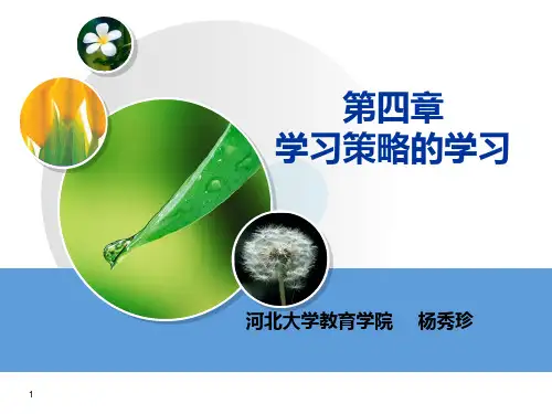 学习策略的学习PPT课件