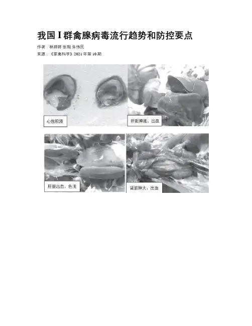 我国I群禽腺病毒流行趋势和防控要点