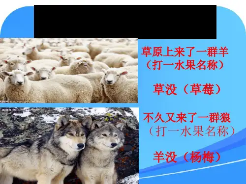 苏教版小学科学六年级下册《有趣的食物链》课件