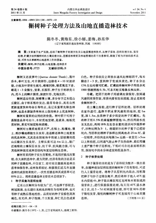 槲树种子处理方法及山地直播造林技术