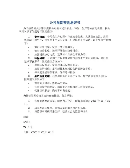 公司限期整改承诺书