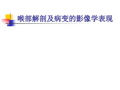 喉部解剖及病变的影像学表现